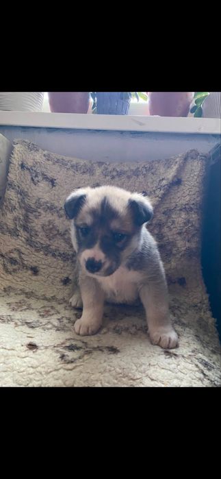 Дуже гарна дівчинка