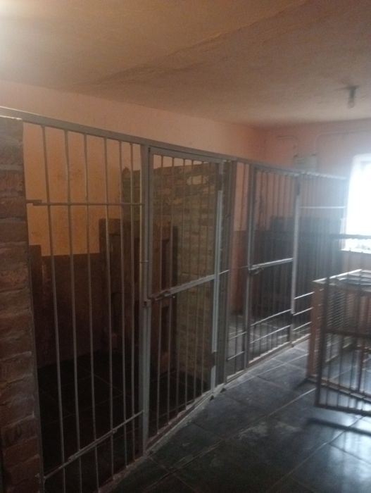 Продам бізнес перетримка собак та котиків