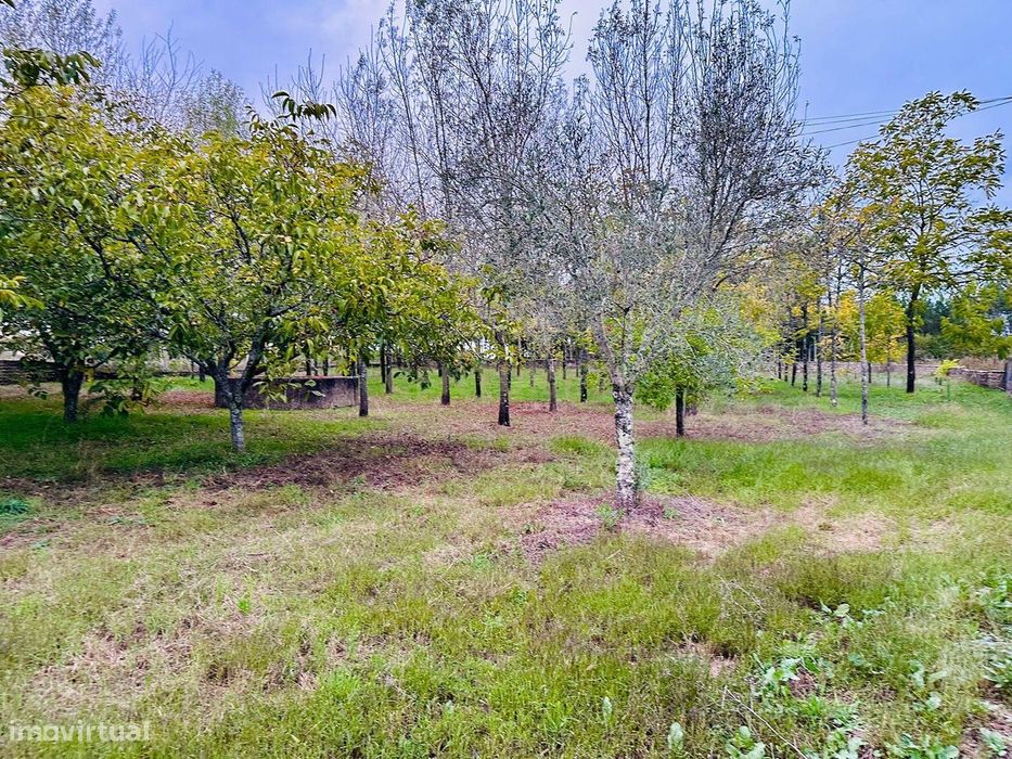 Dois artigos: Urbano com 498 m2 e terreno rústico com 1000 m2 em Vilar