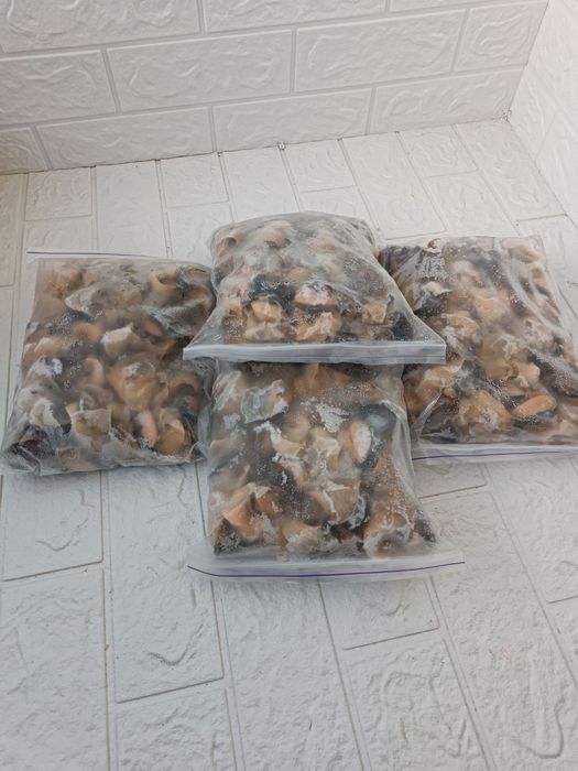 Рапан свеже-мороженный