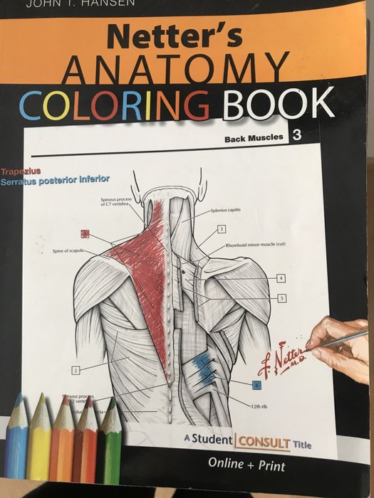 3 Manuais de Medicina para estudante