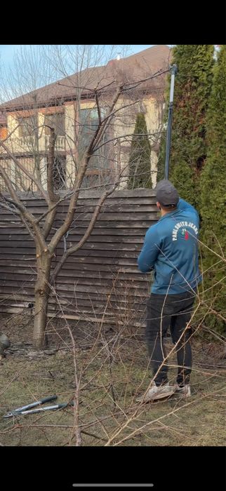 Обрізка плодових дерев, обрізка саду, обрізка кущів, обрізка дерев