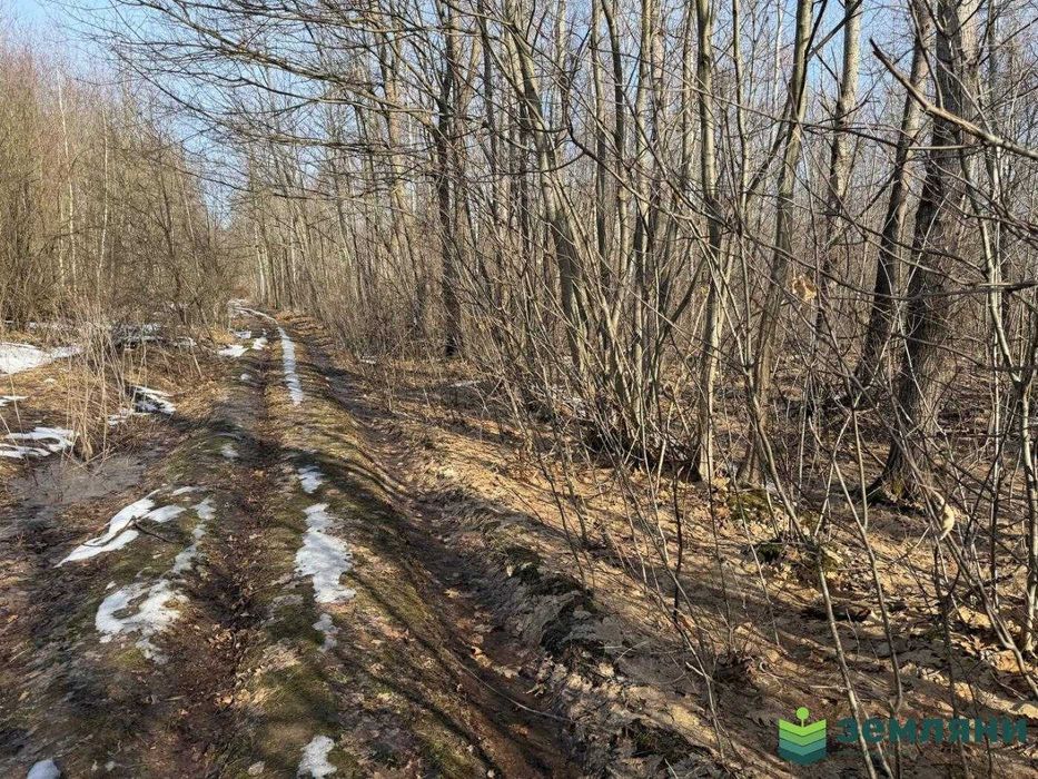 Продається ділянка 25 сот під будівництво  с. Посіч (1)