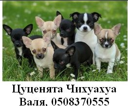 Чекаємо на злучку