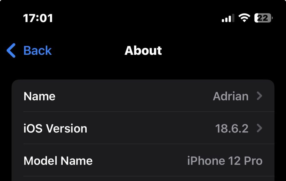 Apple iPhone 12 Pro 256 GB 83% Battery Max Capafity