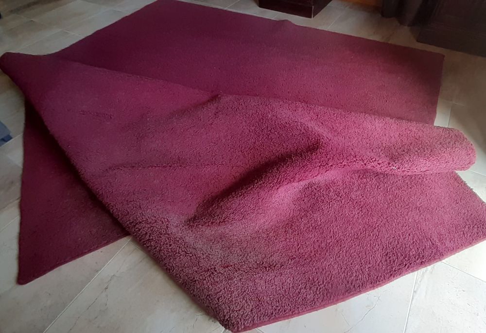 Carpete de sala - 3 x 2,5 mts