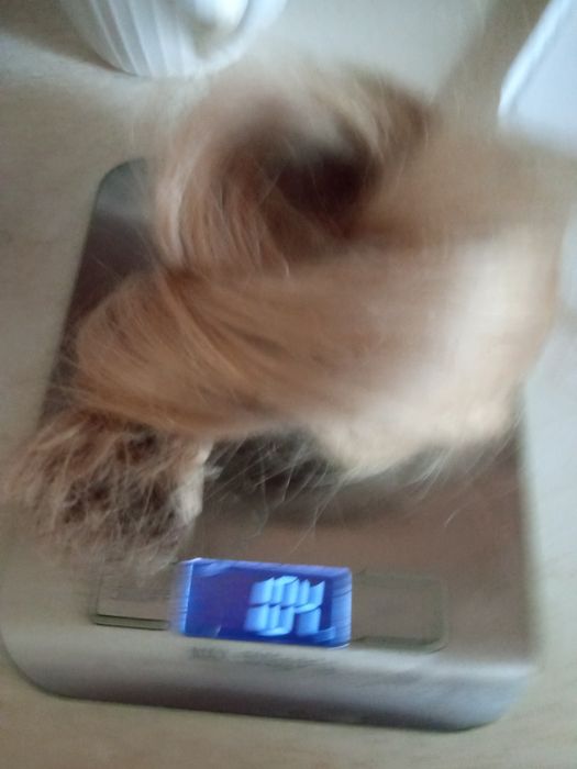 Натуральне волосся для нарощування