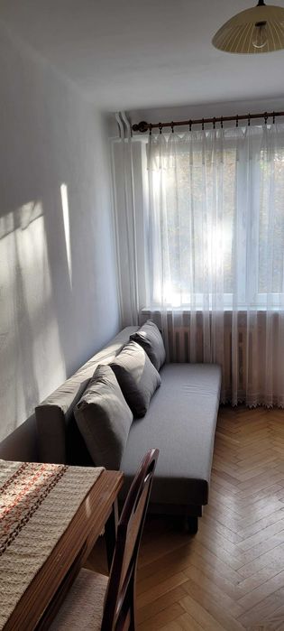 Zdjęcie 7