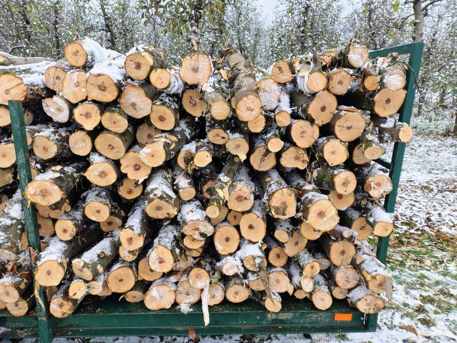 Sprzedam drewno opałowe, jabłoniowe