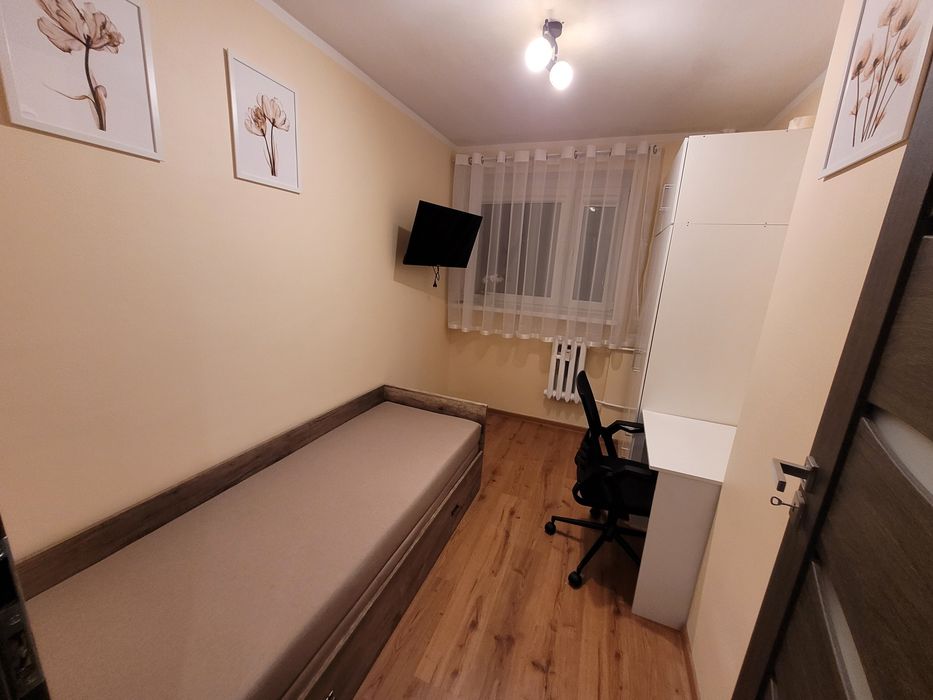 Pokój, pokoje do wynajęcia  ul. Matejki