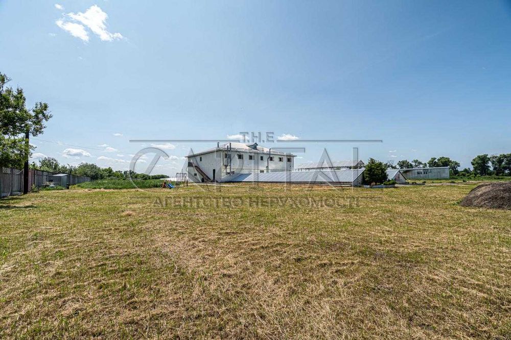 Продажа фермы, с. Русанов, Броварской р-н