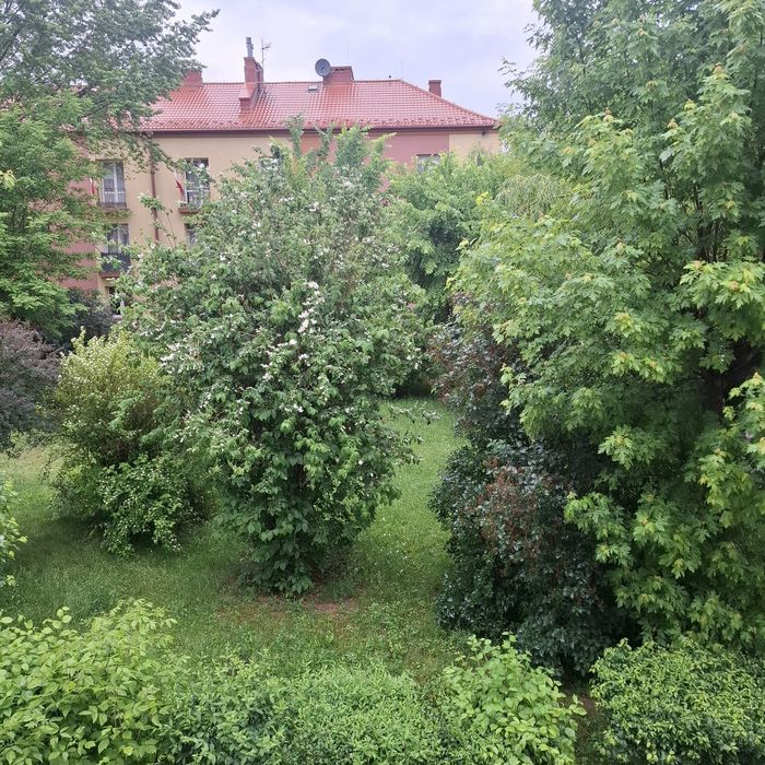 Zdjęcie 8