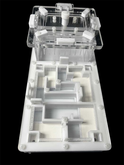 Мурашина ферма 220х110мм з гіпсом | Доставка по Україні, ЄС