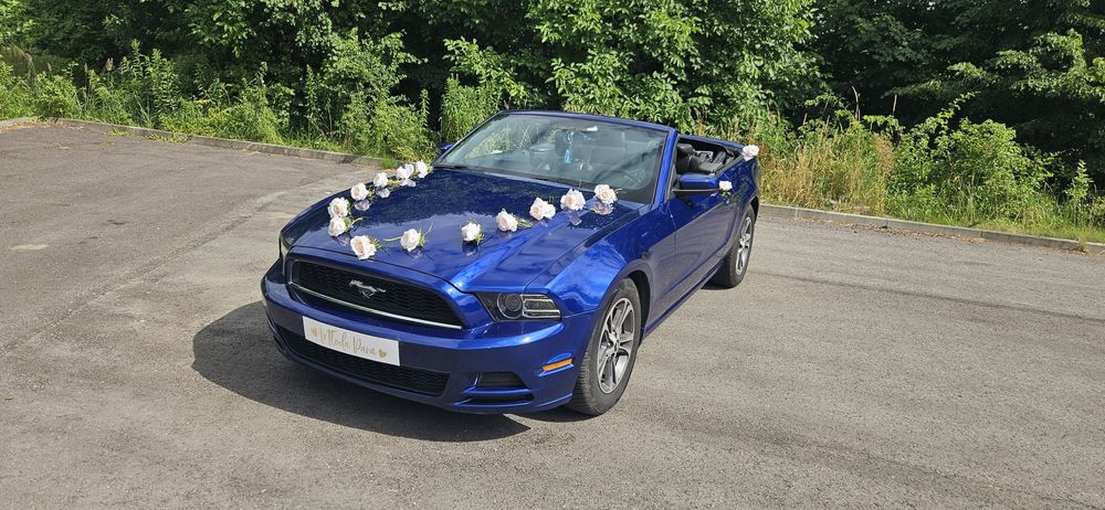 Samochód do ślubu, Mustang do ślubu, sesja zdjęciowa itp.