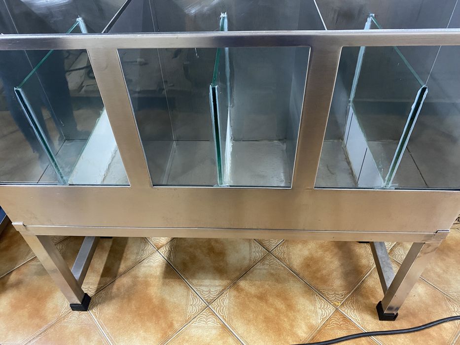 Expositor de Feijão Grão ou frutos secos  etc