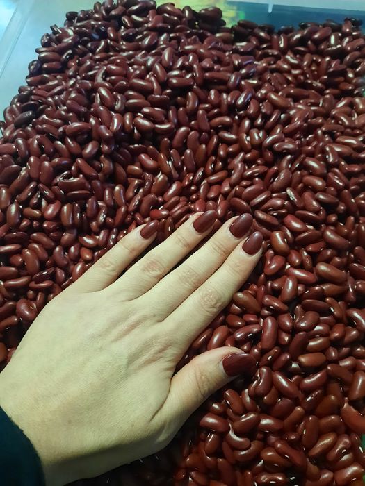 Квасоля червона 10 кг олх доставка