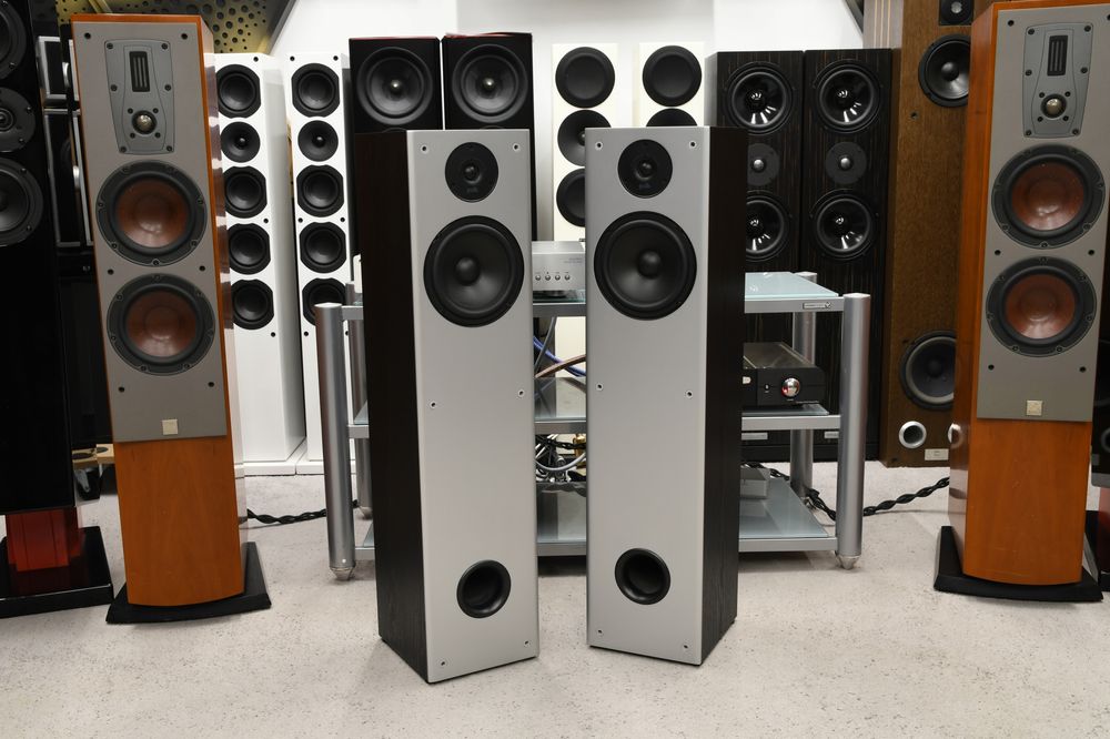 Polk Audio M20 Black - Kolumny podłogowe stereo Dynamic Balance
