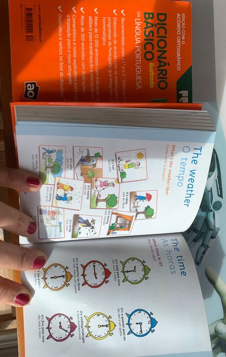 Dicionários em bom estado