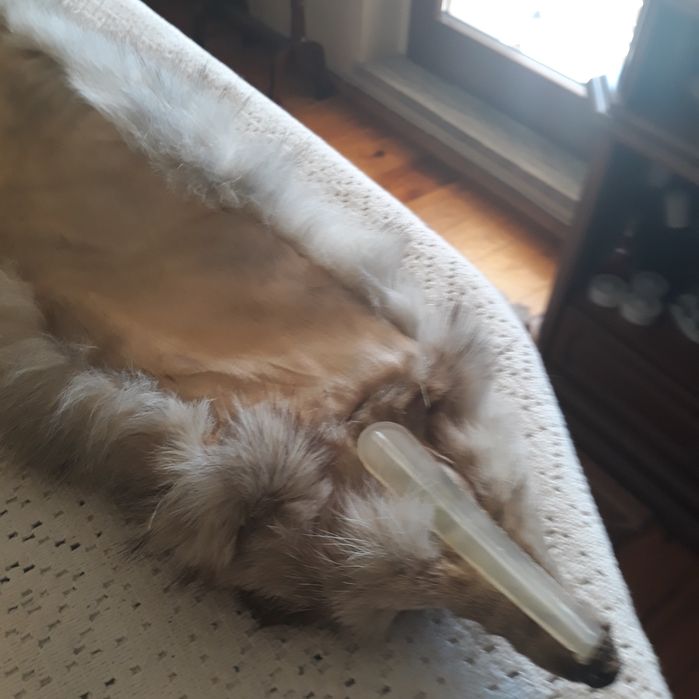 Kołnierz z lisa sprzedam