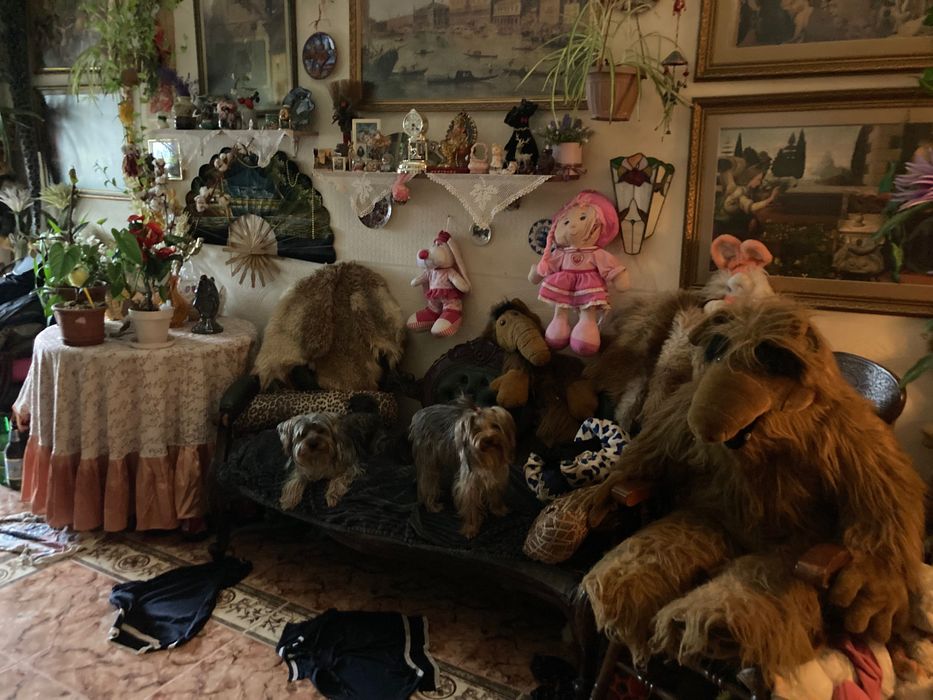 Прекрасные девочки и мальчики