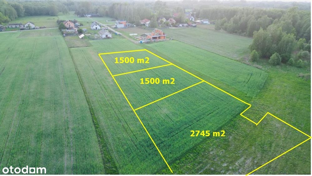 Działka Budowlana nr 443- 2745 m² - Rezerwacja działek 441 / 442 - Widok 4