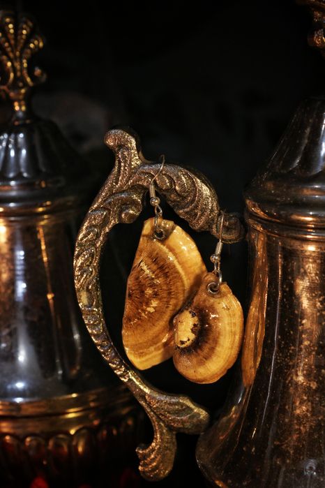 Brincos Congumelos Naturais