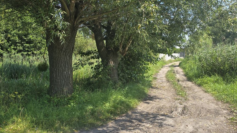 Продаж ділянки 63сот. з видом на озеро та замок Радомисль (Радомишль)