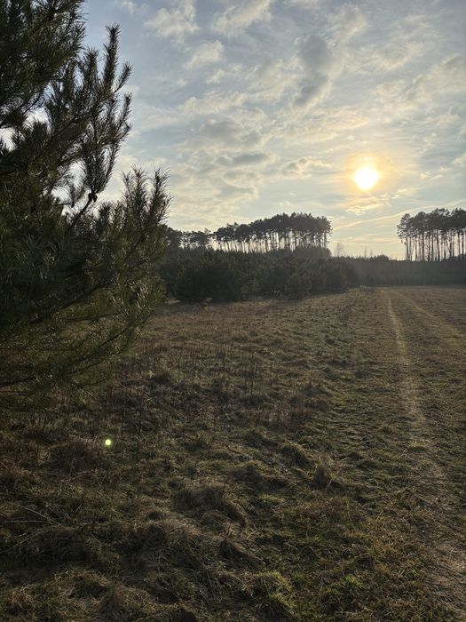 Działka Wola Brwileńska - Widok 2