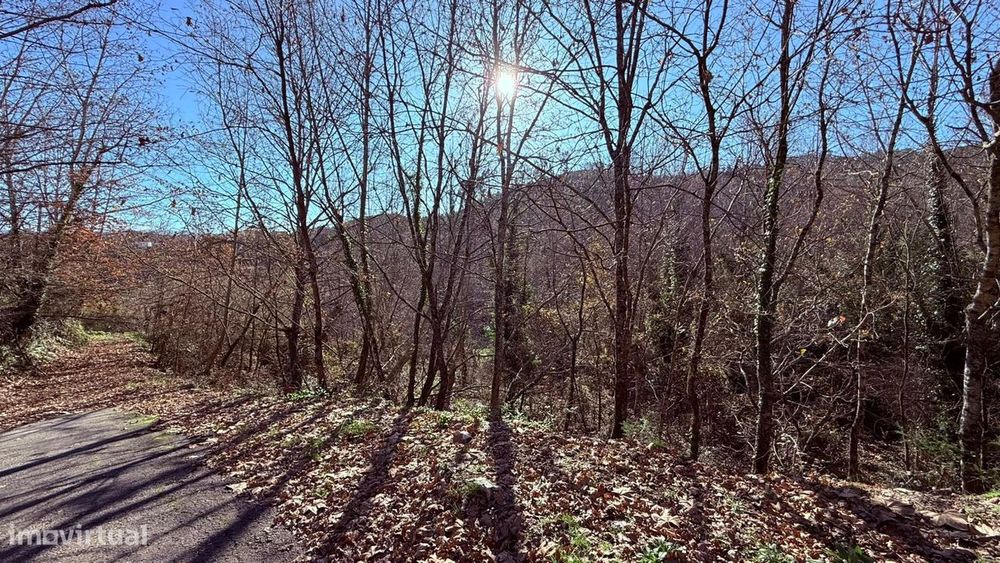 Terreno em Veade, Gagos e Molares