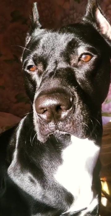 Стафф ищет девочку для вязки