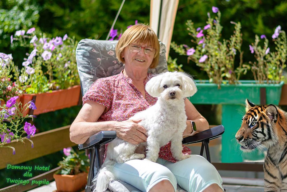 Domowy hotel dla psa - Świebodzin