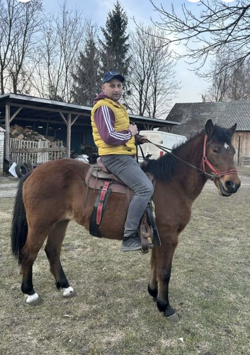 Sprzedam klacz huculską