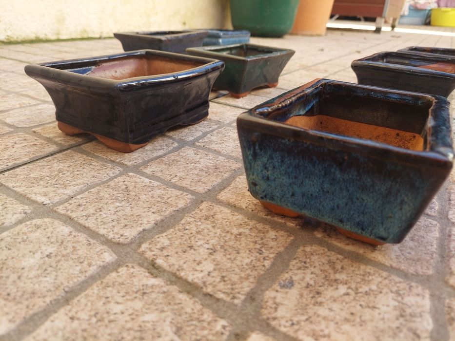 Vasos para bonsai