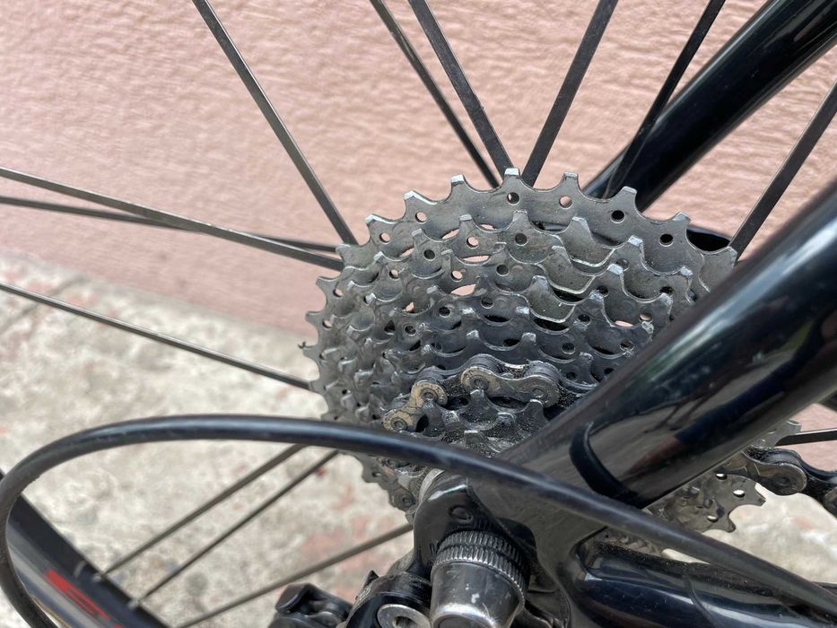 Rower szosowy Pinarello Dogma, full carbon, Campagnolo