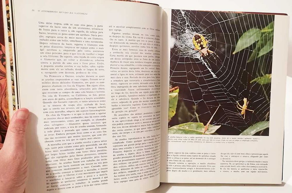 O Assombroso Mundo da Natureza - Suas Maravilhas e Mistérios