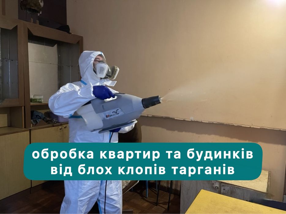 Травля тарганів клопів блох шершнів щурів мишей. Уничтожение тараканов клопов блох крыс мышей . Вытравить тараканов. Удаление плесени