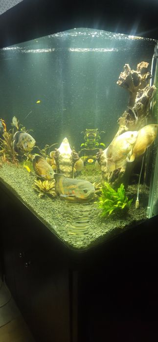 Продам акваріум 630л