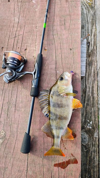 Спінінг Favorite X1 Travel X1.1-684UL 2.03m 2-7g Fas