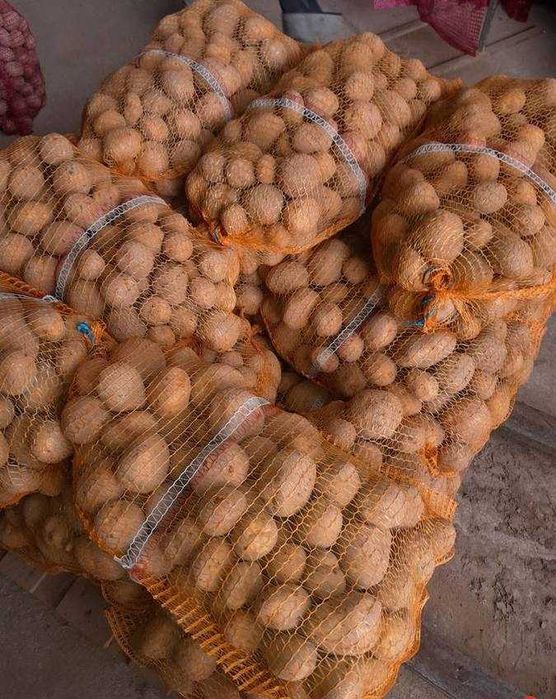 Sprzedam ziemniaki jadalne i sadzeniaki