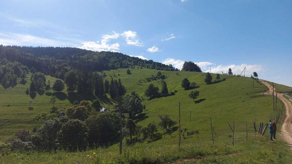 Продається Карпати Верховинський район земельна ділянка