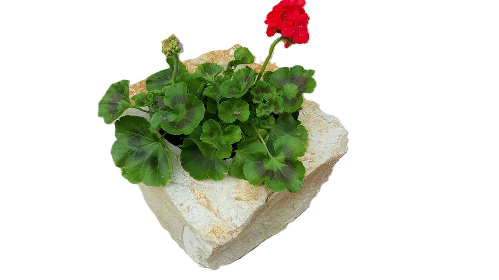 Donica z kamienia naturalnego, Piaskowiec