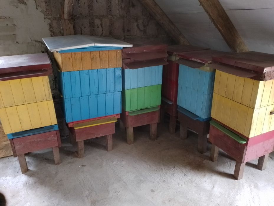 Ule wielkopolskie,pszczoły,pasieka,wosk,węza,pszczelarstwo,
