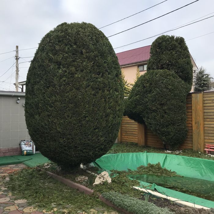 Услуги садовника