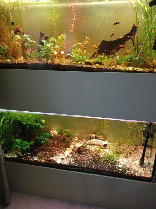 2 акваріума по 460 літрів, з стілажем.