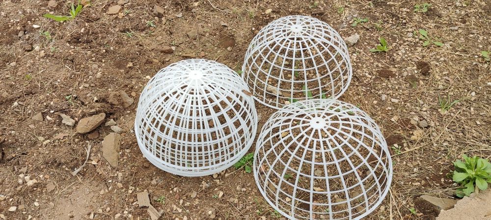 3 Esferas 50 cm galinhas