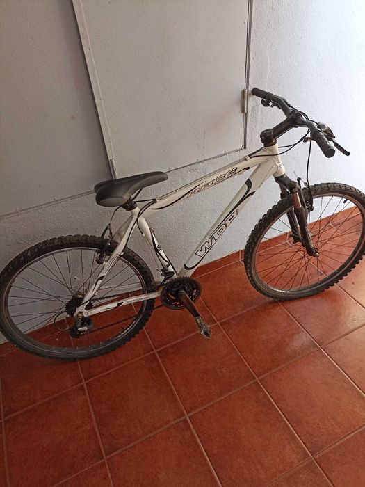Bicicleta para adulto