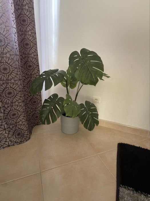 Costela de adao artificial