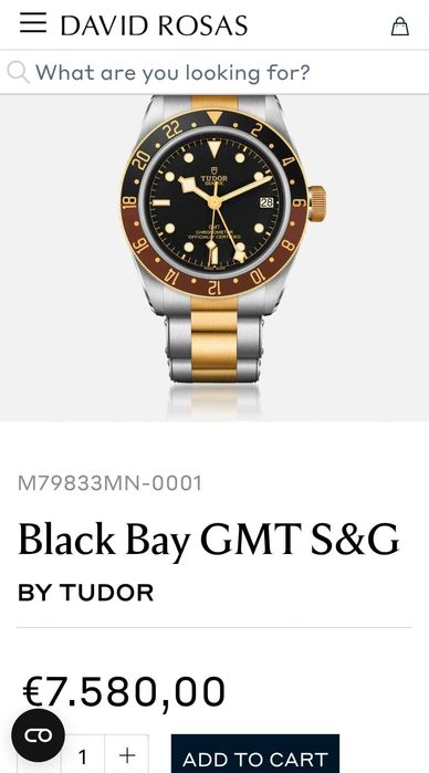 Tudor Black bay GMT