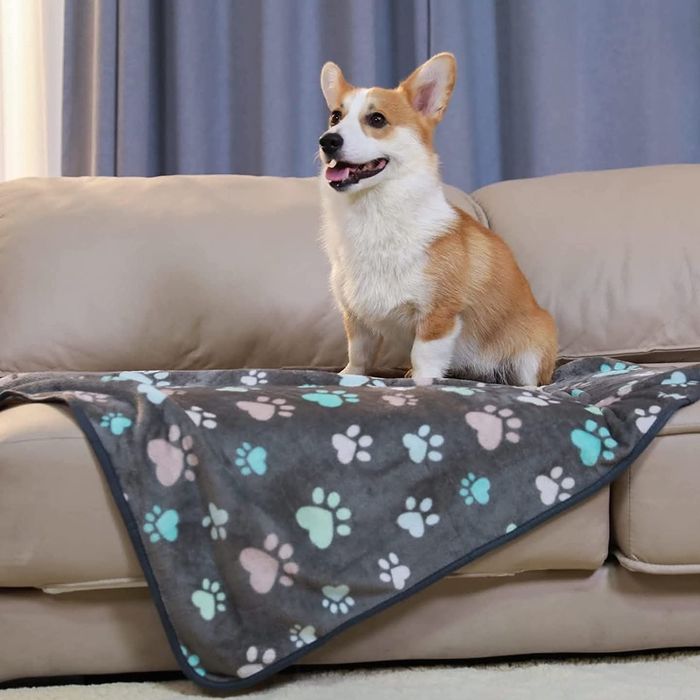 Тёплые пледики! Большой выбор!