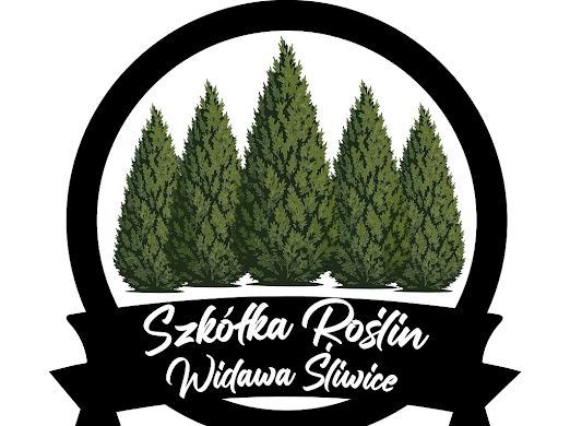 Żywotnik Aurea Nana